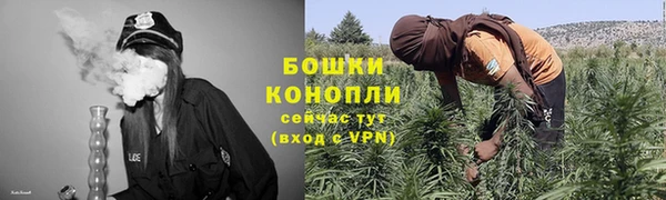ПСИЛОЦИБИНОВЫЕ ГРИБЫ Алексин
