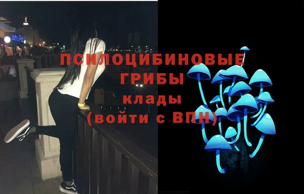 ПСИЛОЦИБИНОВЫЕ ГРИБЫ Алексин