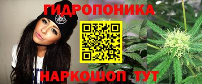 прущие грибы Чебаркуль