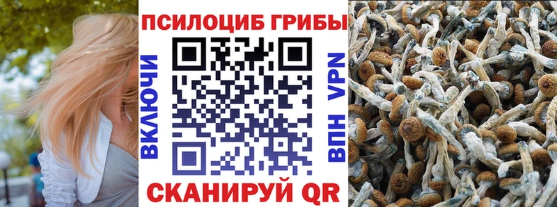 как найти наркотики  Уфа  omg ТОР  Псилоцибиновые грибы мухоморы 