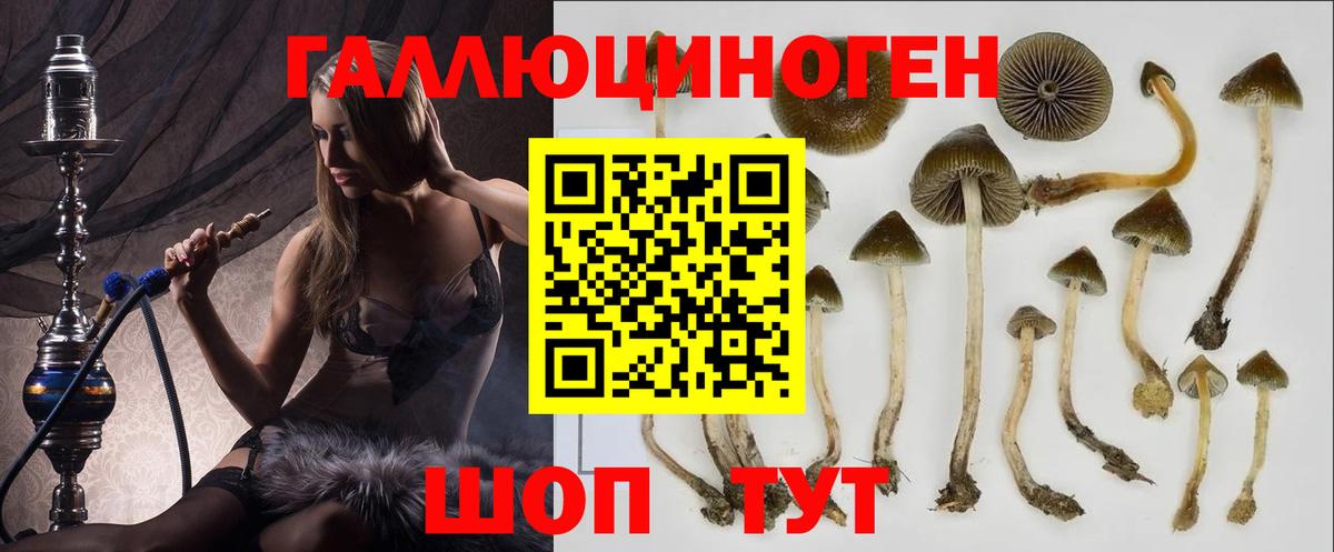 Галлюциногенные грибы Magic Shrooms  Вход с VPN  Уфа 