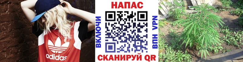 Канабис план Уфа